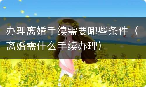 办理离婚手续需要哪些条件（离婚需什么手续办理）