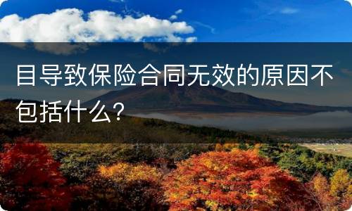 目导致保险合同无效的原因不包括什么？