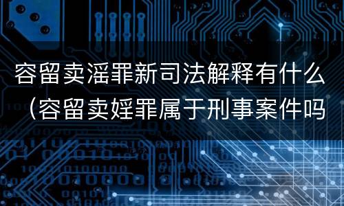容留卖滛罪新司法解释有什么（容留卖婬罪属于刑事案件吗）