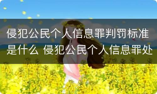 侵犯公民个人信息罪判罚标准是什么 侵犯公民个人信息罪处罚标准