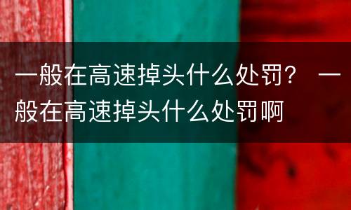 一般在高速掉头什么处罚？ 一般在高速掉头什么处罚啊