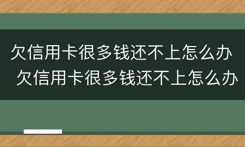 欠信用卡很多钱还不上怎么办 欠信用卡很多钱还不上怎么办呢