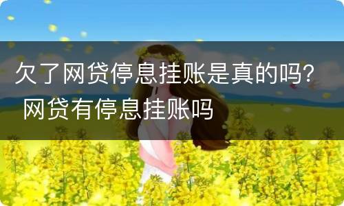 欠了网贷停息挂账是真的吗？ 网贷有停息挂账吗