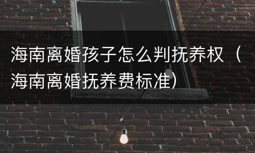 海南离婚孩子怎么判抚养权（海南离婚抚养费标准）