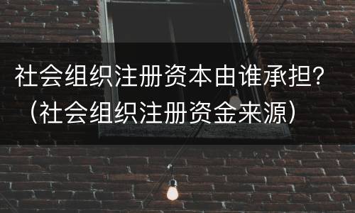 社会组织注册资本由谁承担？（社会组织注册资金来源）