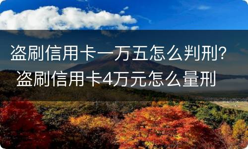 盗刷信用卡一万五怎么判刑？ 盗刷信用卡4万元怎么量刑