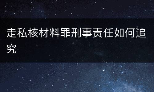 走私核材料罪刑事责任如何追究