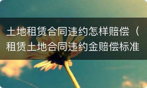 土地租赁合同违约怎样赔偿（租赁土地合同违约金赔偿标准）