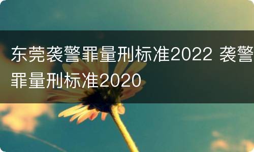 东莞袭警罪量刑标准2022 袭警罪量刑标准2020