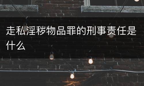 走私淫秽物品罪的刑事责任是什么