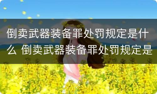 倒卖武器装备罪处罚规定是什么 倒卖武器装备罪处罚规定是什么时候实施
