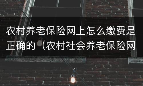 农村养老保险网上怎么缴费是正确的（农村社会养老保险网上如何缴费）