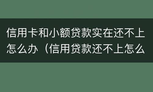 信用卡和小额贷款实在还不上怎么办（信用贷款还不上怎么办?）