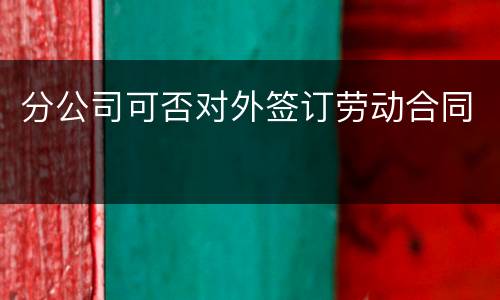 分公司可否对外签订劳动合同