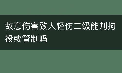 故意伤害致人轻伤二级能判拘役或管制吗