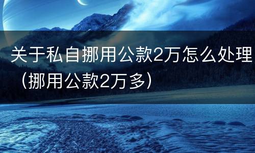 关于私自挪用公款2万怎么处理（挪用公款2万多）