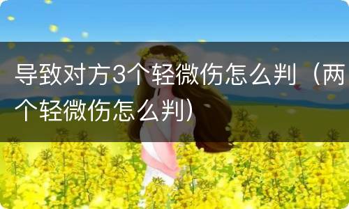 导致对方3个轻微伤怎么判（两个轻微伤怎么判）