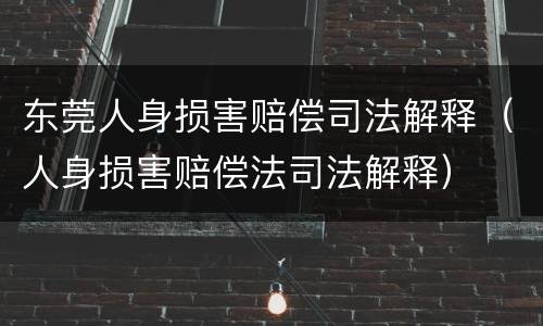 东莞人身损害赔偿司法解释（人身损害赔偿法司法解释）