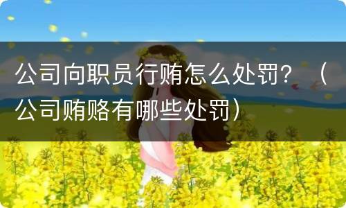 公司向职员行贿怎么处罚？（公司贿赂有哪些处罚）