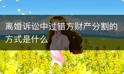 离婚诉讼中过错方财产分割的方式是什么