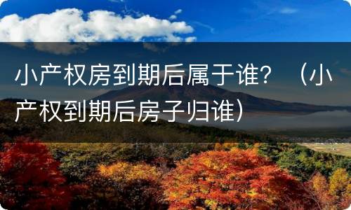 小产权房到期后属于谁？（小产权到期后房子归谁）