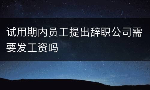 试用期内员工提出辞职公司需要发工资吗