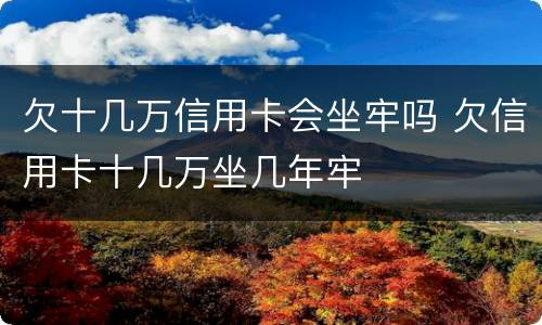 欠十几万信用卡会坐牢吗 欠信用卡十几万坐几年牢