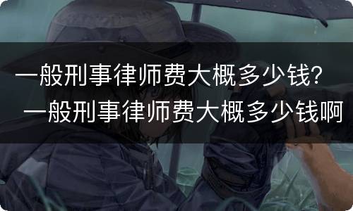 一般刑事律师费大概多少钱？ 一般刑事律师费大概多少钱啊