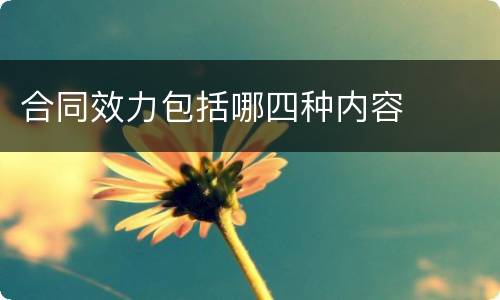 合同效力包括哪四种内容