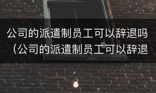 公司的派遣制员工可以辞退吗（公司的派遣制员工可以辞退吗知乎）