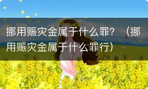 挪用赈灾金属于什么罪？（挪用赈灾金属于什么罪行）