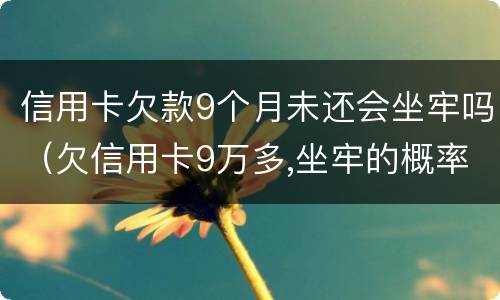信用卡欠款9个月未还会坐牢吗（欠信用卡9万多,坐牢的概率是多大）