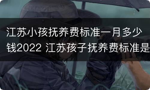 江苏小孩抚养费标准一月多少钱2022 江苏孩子抚养费标准是多少