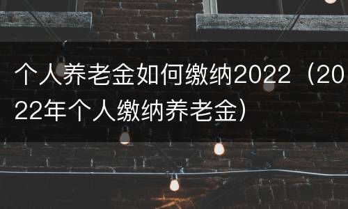 个人养老金如何缴纳2022（2022年个人缴纳养老金）