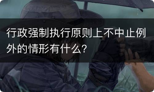 行政强制执行原则上不中止例外的情形有什么？