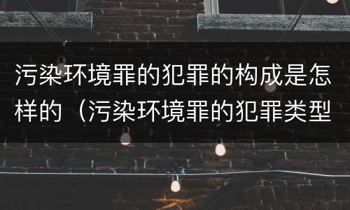 污染环境罪的犯罪的构成是怎样的（污染环境罪的犯罪类型）