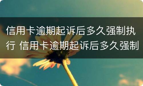 信用卡逾期起诉后多久强制执行 信用卡逾期起诉后多久强制执行成功