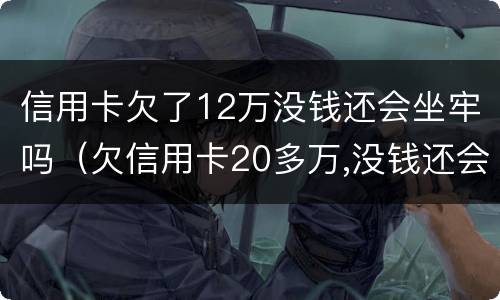 信用卡欠了12万没钱还会坐牢吗（欠信用卡20多万,没钱还会坐牢吗）