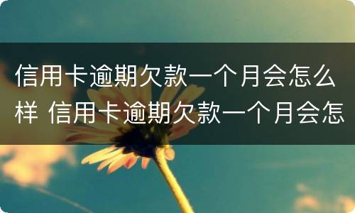 信用卡逾期欠款一个月会怎么样 信用卡逾期欠款一个月会怎么样吗