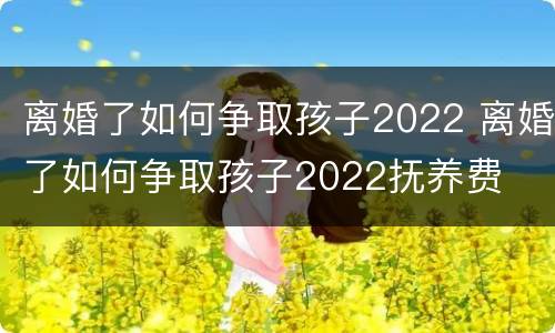 离婚了如何争取孩子2022 离婚了如何争取孩子2022抚养费