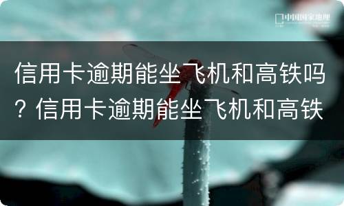 信用卡逾期能坐飞机和高铁吗? 信用卡逾期能坐飞机和高铁吗知乎