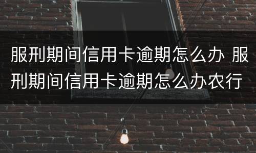 服刑期间信用卡逾期怎么办 服刑期间信用卡逾期怎么办农行