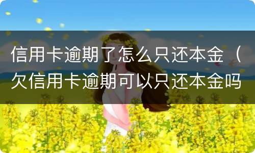 信用卡逾期了怎么只还本金（欠信用卡逾期可以只还本金吗）