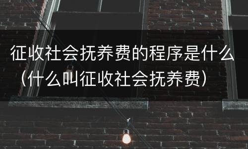 征收社会抚养费的程序是什么（什么叫征收社会抚养费）