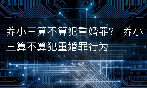 养小三算不算犯重婚罪？ 养小三算不算犯重婚罪行为