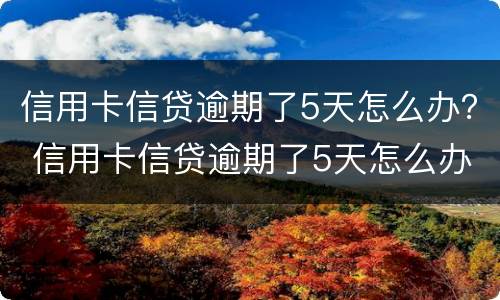信用卡信贷逾期了5天怎么办？ 信用卡信贷逾期了5天怎么办理