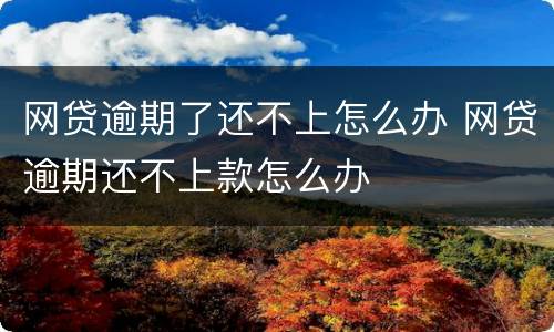 网贷逾期了还不上怎么办 网贷逾期还不上款怎么办