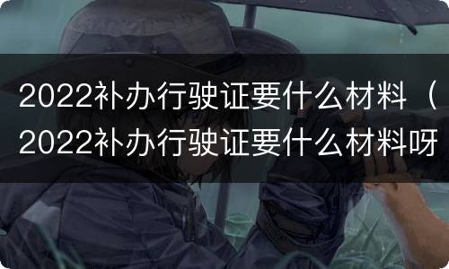 2022补办行驶证要什么材料（2022补办行驶证要什么材料呀）