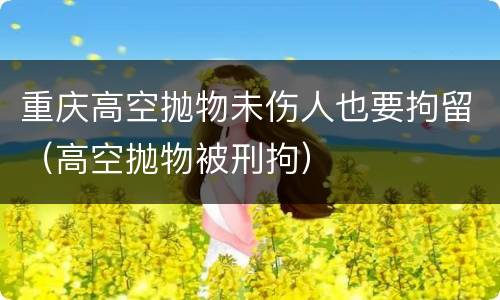 重庆高空抛物未伤人也要拘留（高空抛物被刑拘）