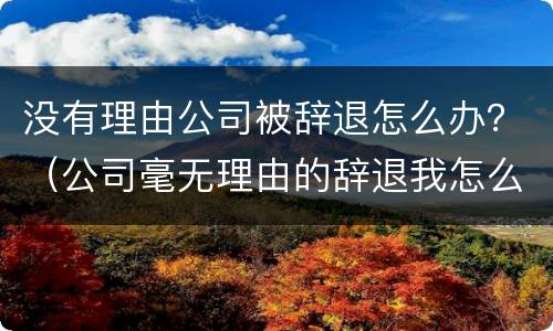 没有理由公司被辞退怎么办？（公司毫无理由的辞退我怎么办）